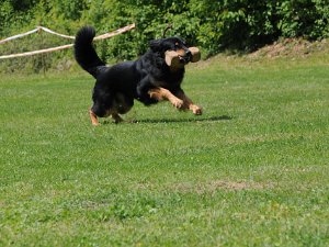 Mai B_C Uebungswochenende in Floersheim