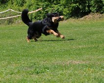 Uebungswochenende_Mai_2012_DSC_8861