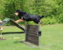 Uebungswochenende_Mai_2012_DSC_8869