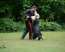 Langenhagen_Quali_RZV_DSC_5188-20160521