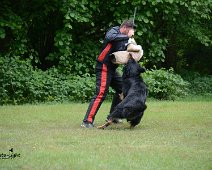 Langenhagen_Quali_RZV_DSC_5189-20160521