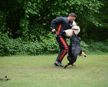 Langenhagen_Quali_RZV_DSC_5190-20160521