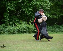 Langenhagen_Quali_RZV_DSC_5191-20160521