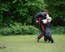 Langenhagen_Quali_RZV_DSC_5192-20160521