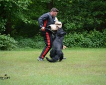 Langenhagen_Quali_RZV_DSC_5193-20160521