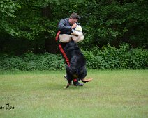 Langenhagen_Quali_RZV_DSC_5194-20160521