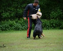 Langenhagen_Quali_RZV_DSC_5196-20160521