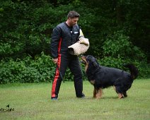 Langenhagen_Quali_RZV_DSC_5197-20160521