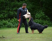 Langenhagen_Quali_RZV_DSC_5198-20160521