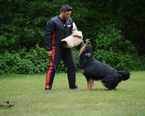 Langenhagen_Quali_RZV_DSC_5199-20160521
