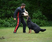 Langenhagen_Quali_RZV_DSC_5201-20160521