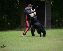 Langenhagen_Quali_RZV_DSC_5202-20160521