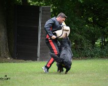 Langenhagen_Quali_RZV_DSC_5203-20160521