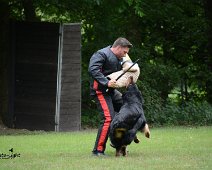 Langenhagen_Quali_RZV_DSC_5204-20160521