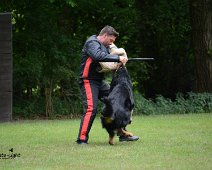 Langenhagen_Quali_RZV_DSC_5205-20160521