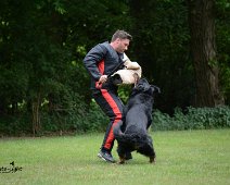 Langenhagen_Quali_RZV_DSC_5206-20160521