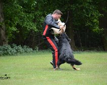 Langenhagen_Quali_RZV_DSC_5207-20160521