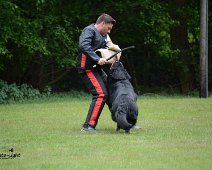 Langenhagen_Quali_RZV_DSC_5208-20160521