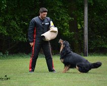 Langenhagen_Quali_RZV_DSC_5210-20160521