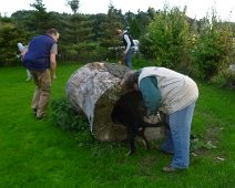 Don Carlos von Xamilou