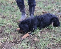 Dream_Faehrtenworkshop_FD1A6648-2023 03 04