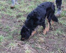 Dream_Faehrtenworkshop_FD1A6649-2023 03 04