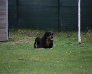 Fruehjahrspruefung_Maerz_2026_FD1A7543-20260314