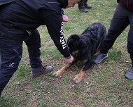 Workshop_Ollmann_Maerz_2026_FD1A6592-20260228