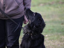 Workshop mit Stephanie Ollmann