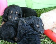 fünfte_Woche_IMG_9015-20170612