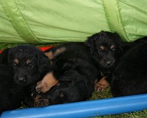 fünfte_Woche_IMG_9018-20170612