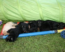 fünfte_Woche_IMG_9019-20170612