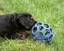 fünfte_Woche_IMG_9028-20170612