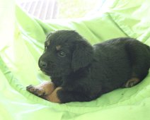 fünfte_Woche_IMG_9031-20170612