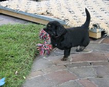 fünfte_Woche_IMG_9034-20170612