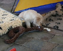 fünfte_Woche_IMG_9036-20170612