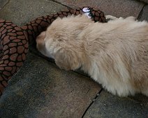 fünfte_Woche_IMG_9037-20170612