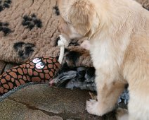 fünfte_Woche_IMG_9038-20170612