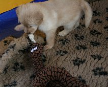 fünfte_Woche_IMG_9039-20170612