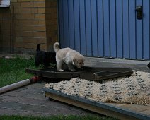 fünfte_Woche_IMG_9044-20170612