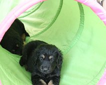 fünfte_Woche_IMG_9047-20170613