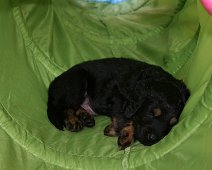 fünfte_Woche_IMG_9054-20170614