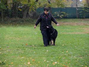 BH Herbstprüfung 2019