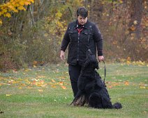 Herbstpruefung_November_2019_DSC_4449-20191204