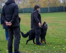 Herbstpruefung_November_2019_DSC_4451-20191204