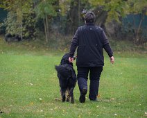 Herbstpruefung_November_2019_DSC_4457-20191204