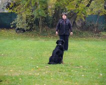 Herbstpruefung_November_2019_DSC_4458-20191204