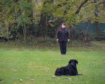 Herbstpruefung_November_2019_DSC_4460-20191204