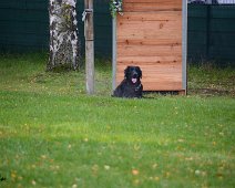 Herbstpruefung_November_2019_DSC_4463-20191204