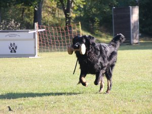 Trainingswochenende Oktober 2021